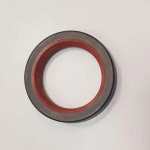 Shaft Seal (camshaft) - P7618801