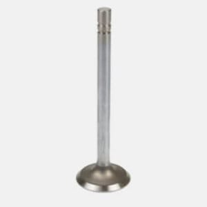 Exhaust valve - R84619, R504061