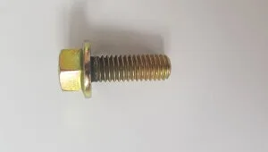 Camshaft bolt - 83909101